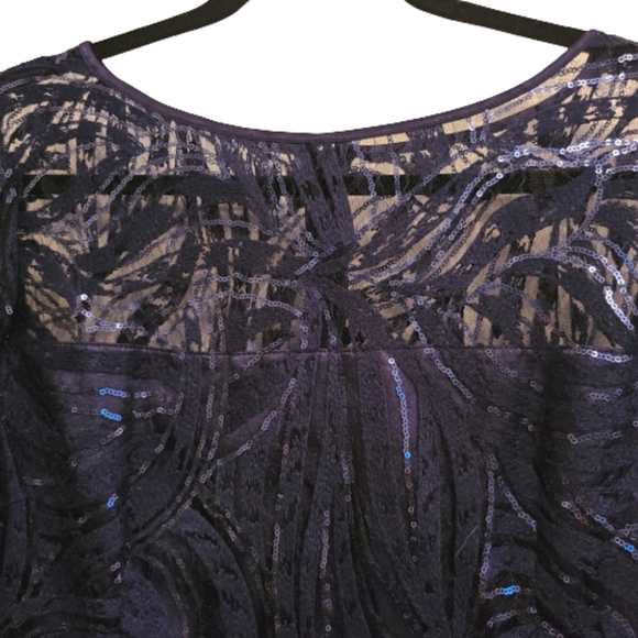 Tahari Arthur S Levine Illusion Special Occasion Sheath Dress - Picture 3 of 4